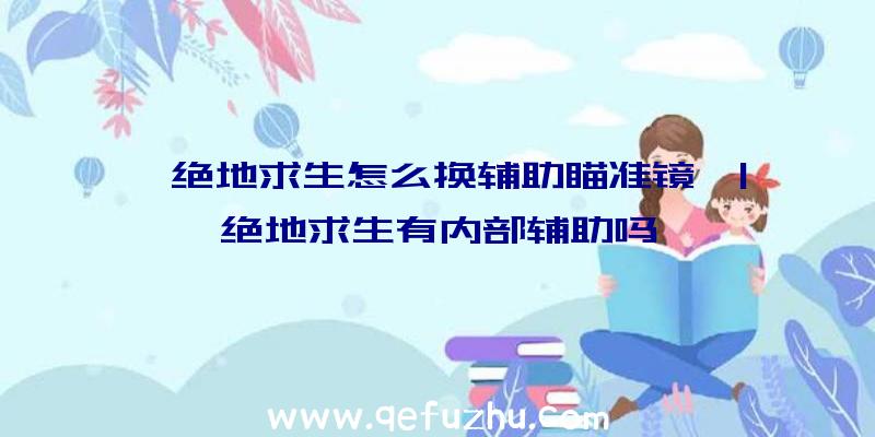 「绝地求生怎么换辅助瞄准镜」|绝地求生有内部辅助吗